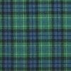 MacNeil CoIonsay Ancient Tartan Dance Sash