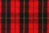 Wallace Modern Tartan Dance Sash